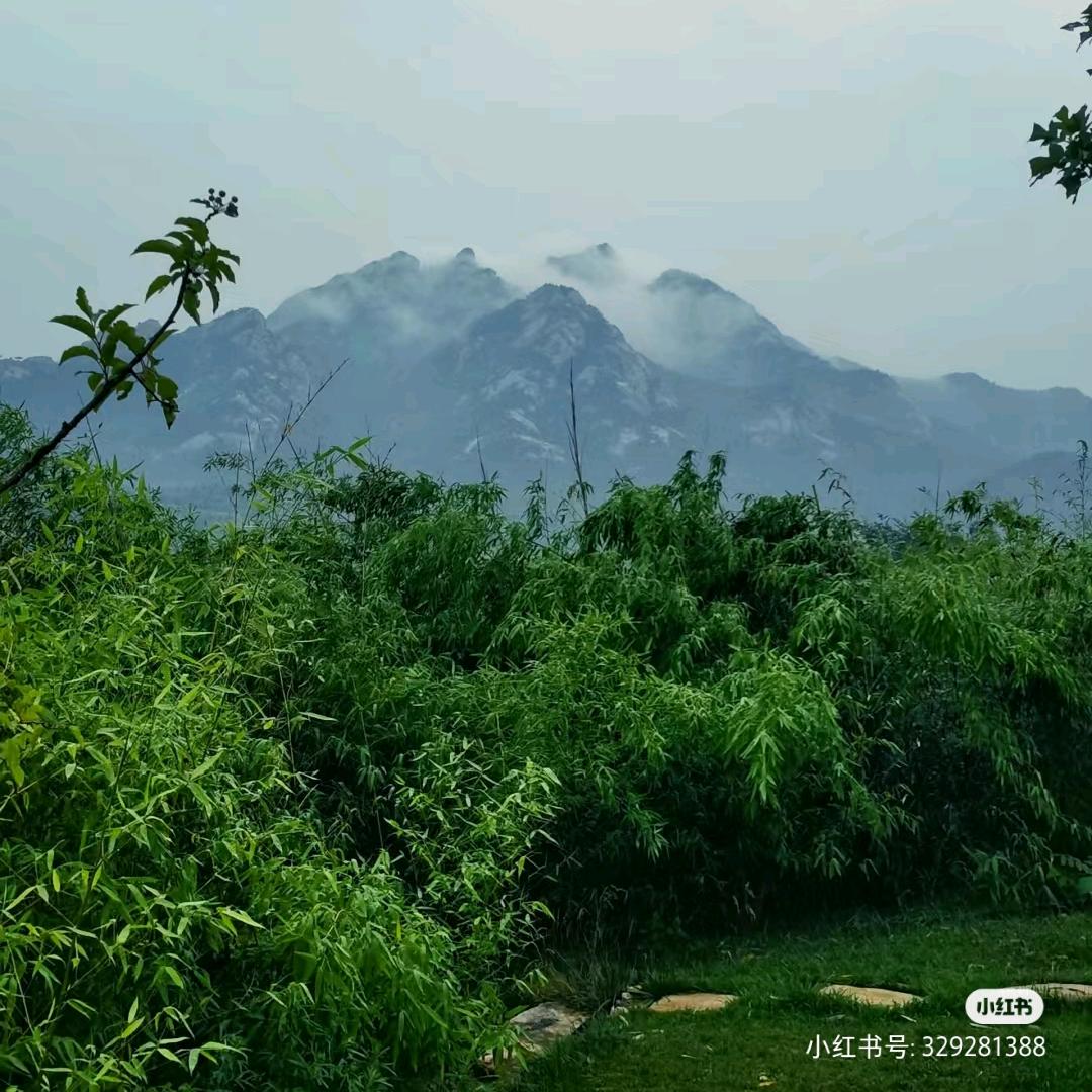 ࿐ღ᭄依山伴水农场࿐: