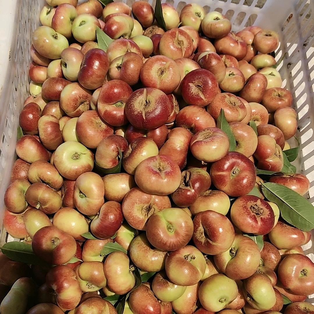 辛集信誉楼门口卖桃🍑