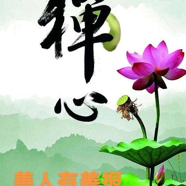 红尘随缘