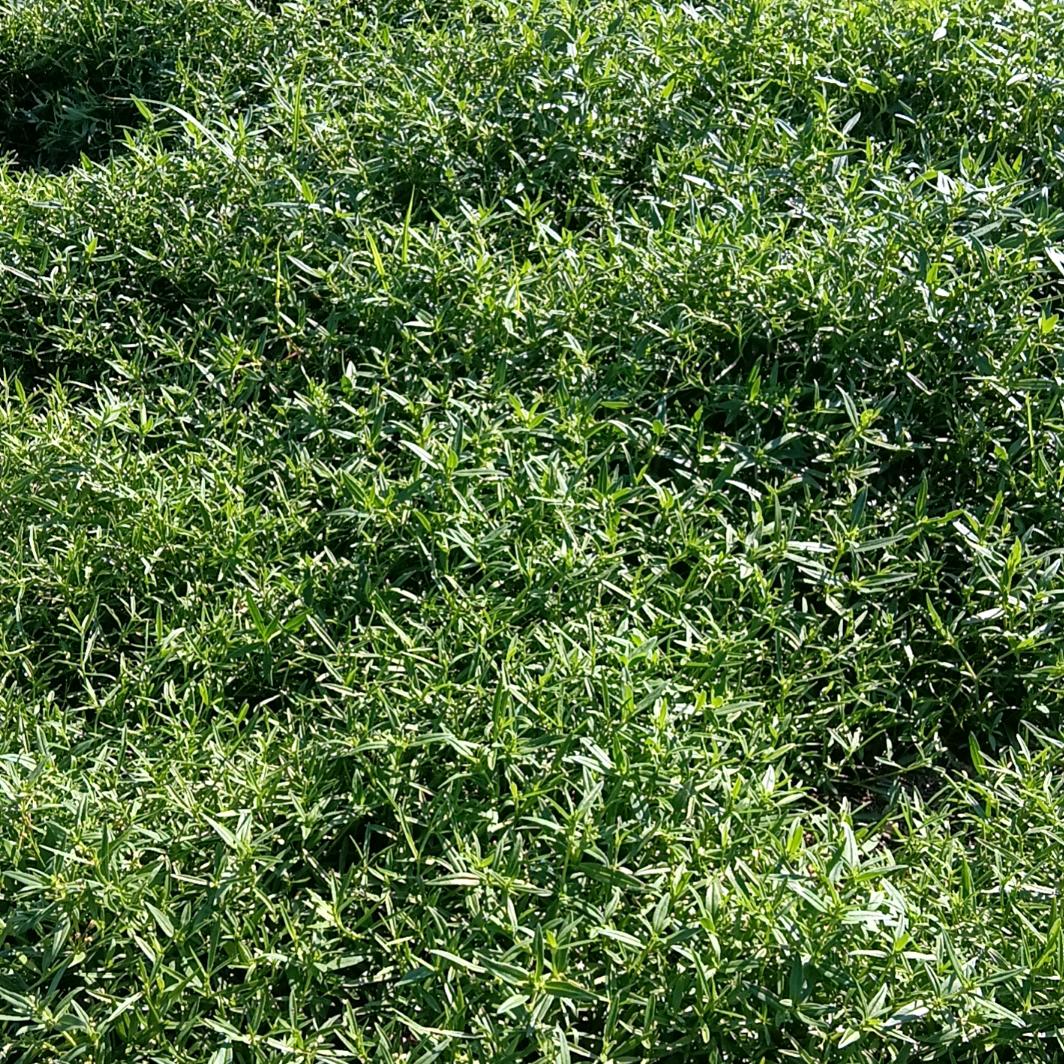 余生健康快乐🙂