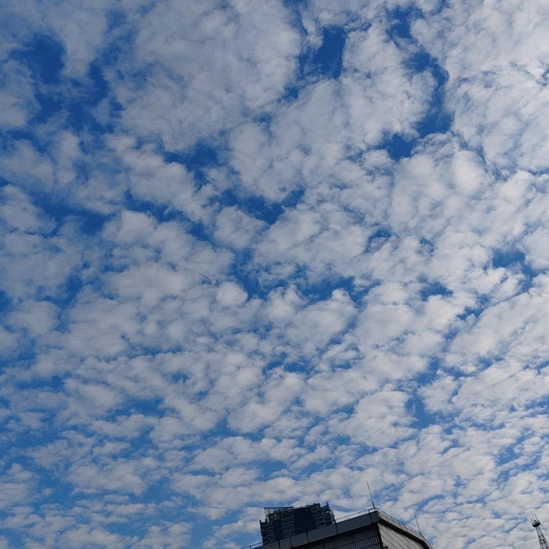 大熊宝贝 (六年之约 )