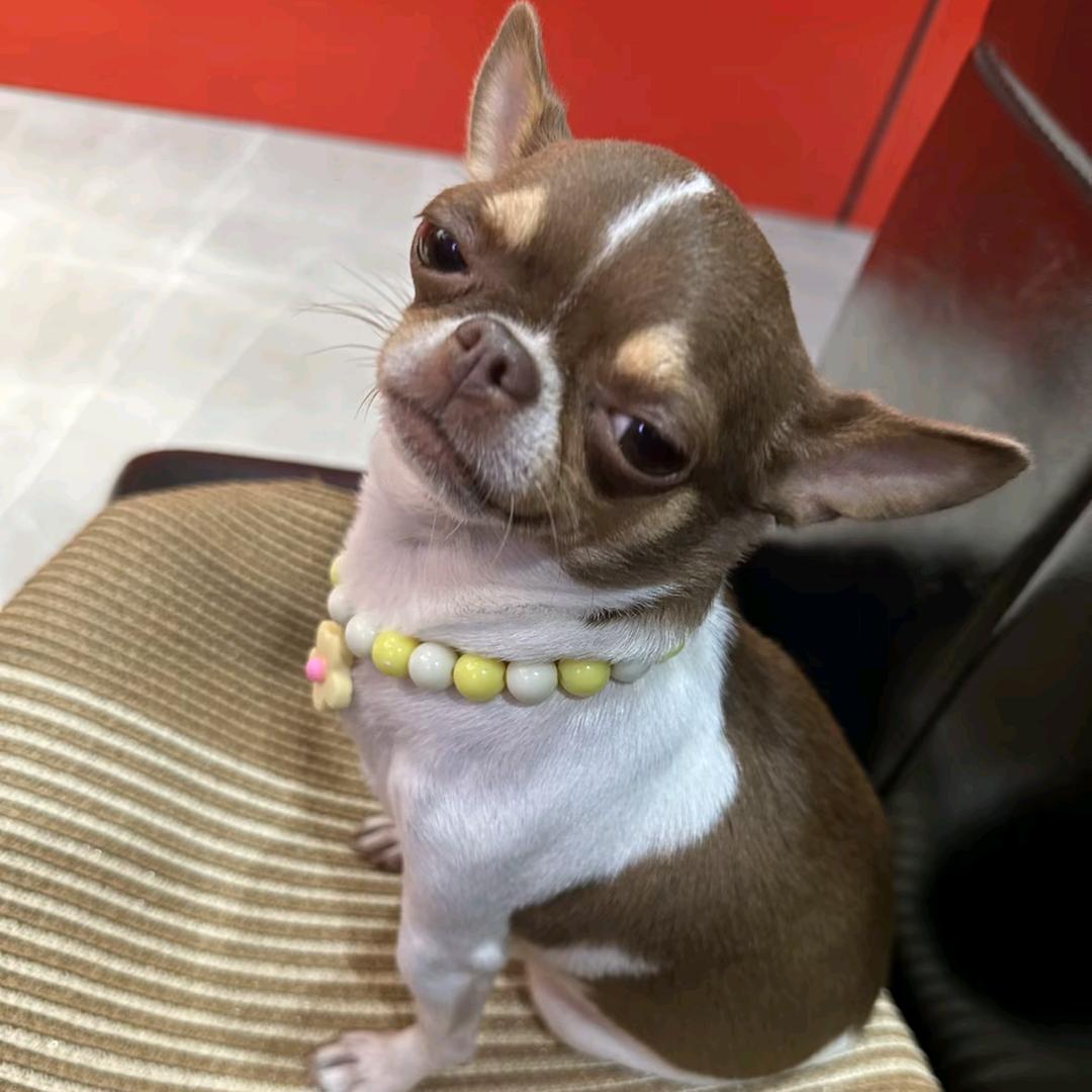 汕安驾校 陈佳凯教练