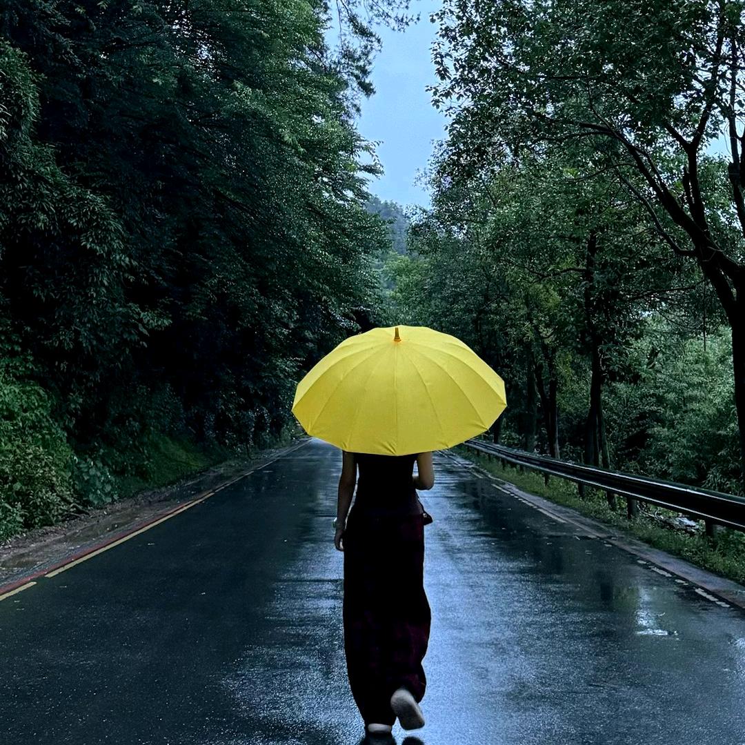 Damn白粉、