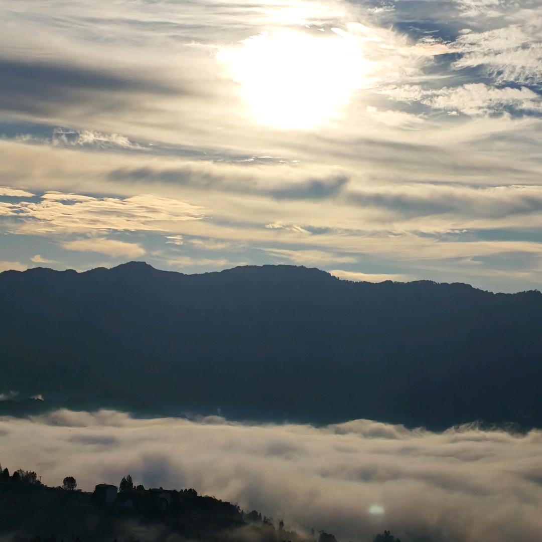 (｡･ω･｡)ﾉ♡無念(╭☞•́⍛•̀)