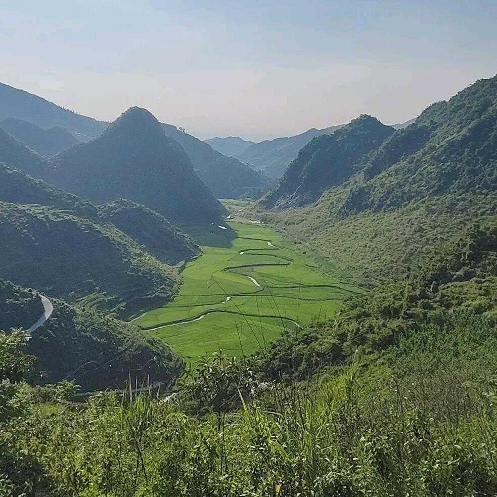 呗多蒙