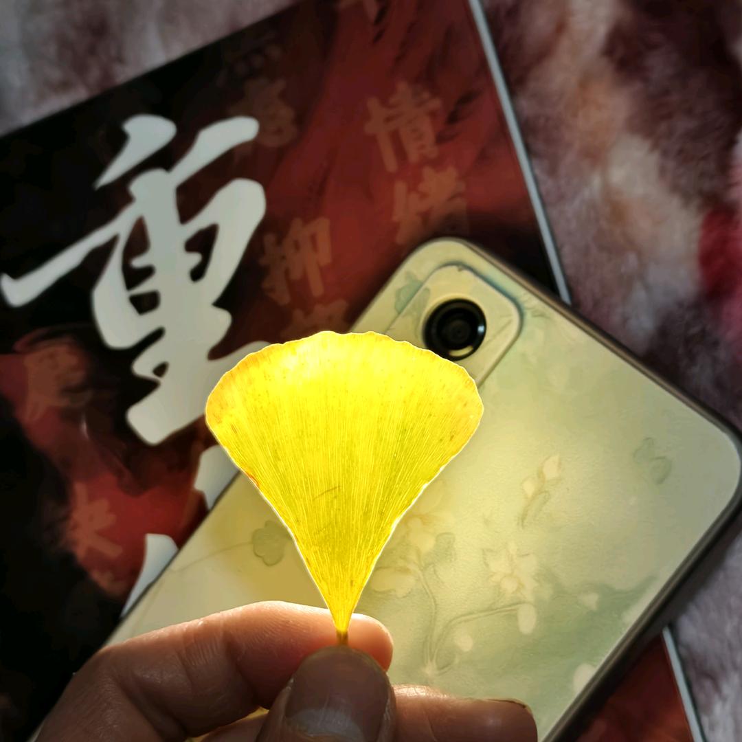 啊通很坚强