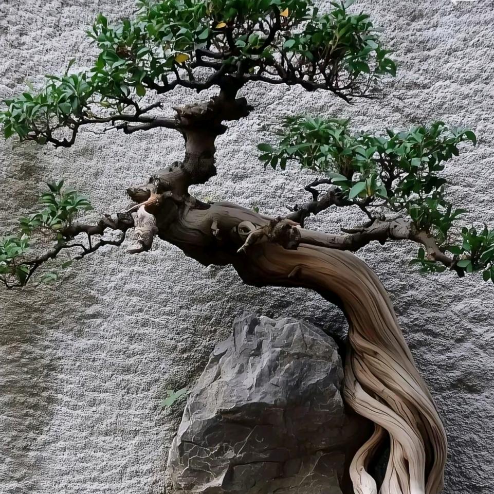 小李盆景花卉店