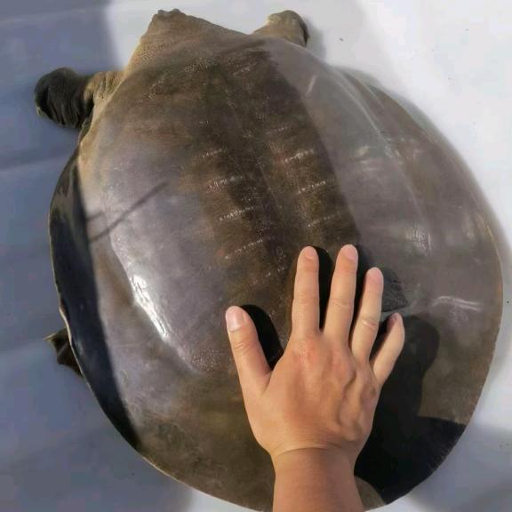 阿坤水产品