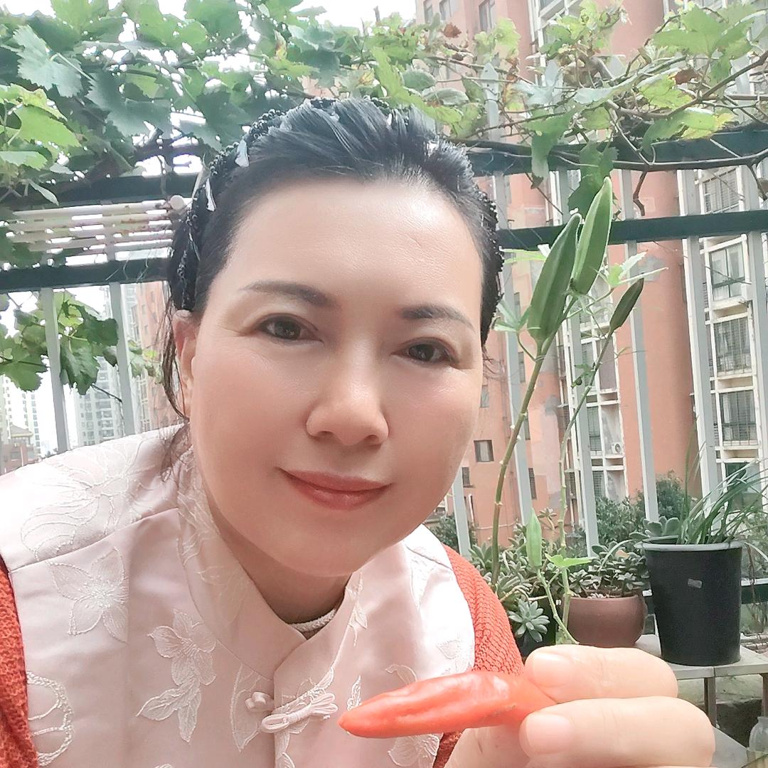 与农相伴凤姐