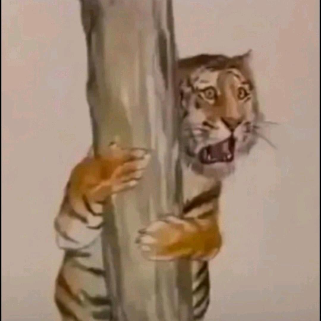 划船不用桨