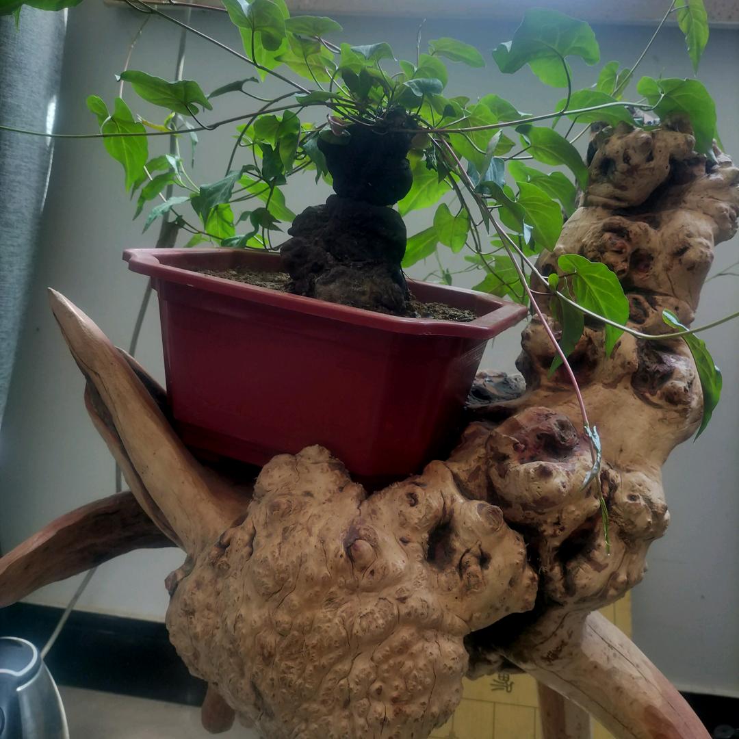 建忠生活创作中心