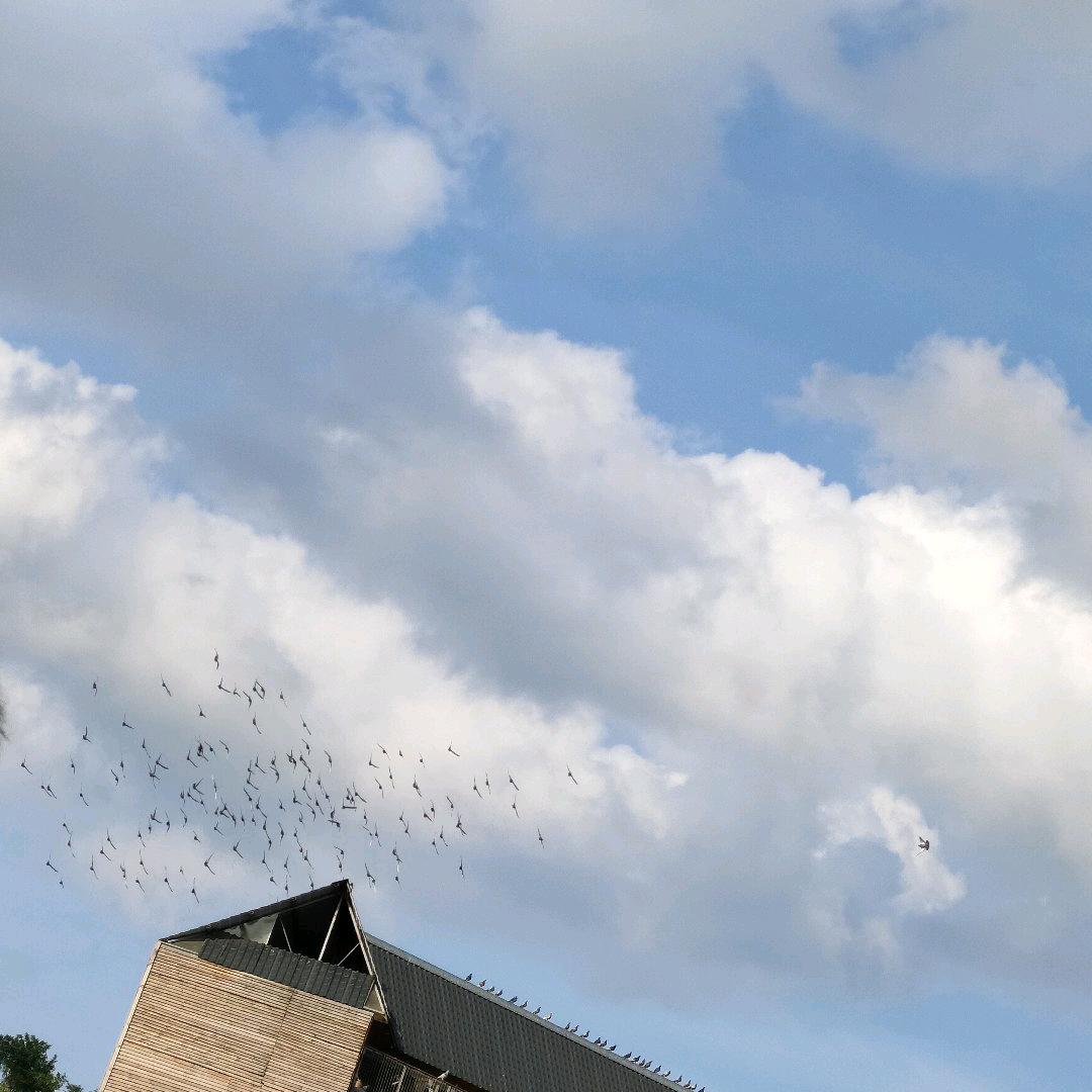 旺仔小馒头☜🐭