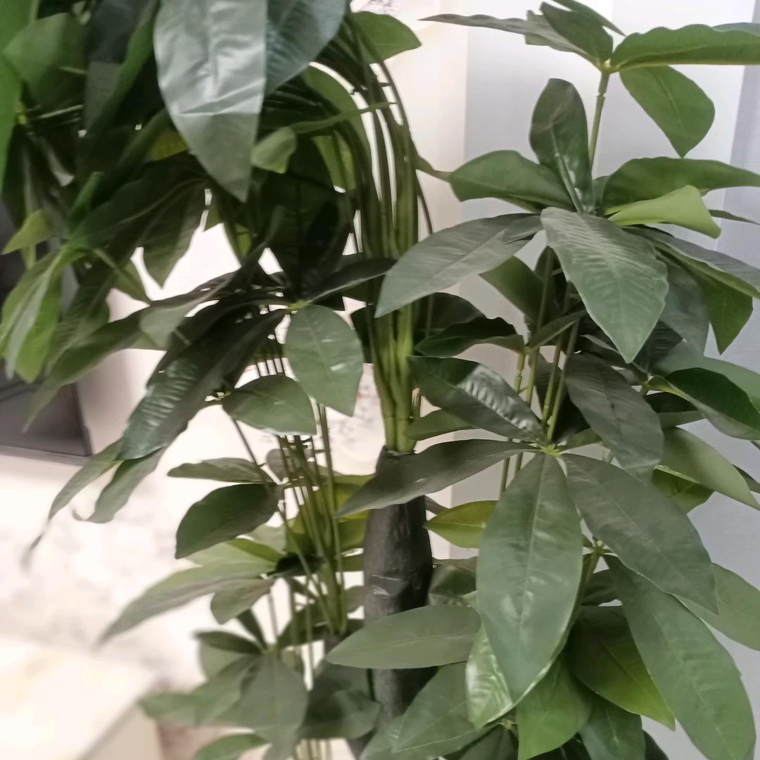 纺织三十年