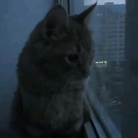 余火