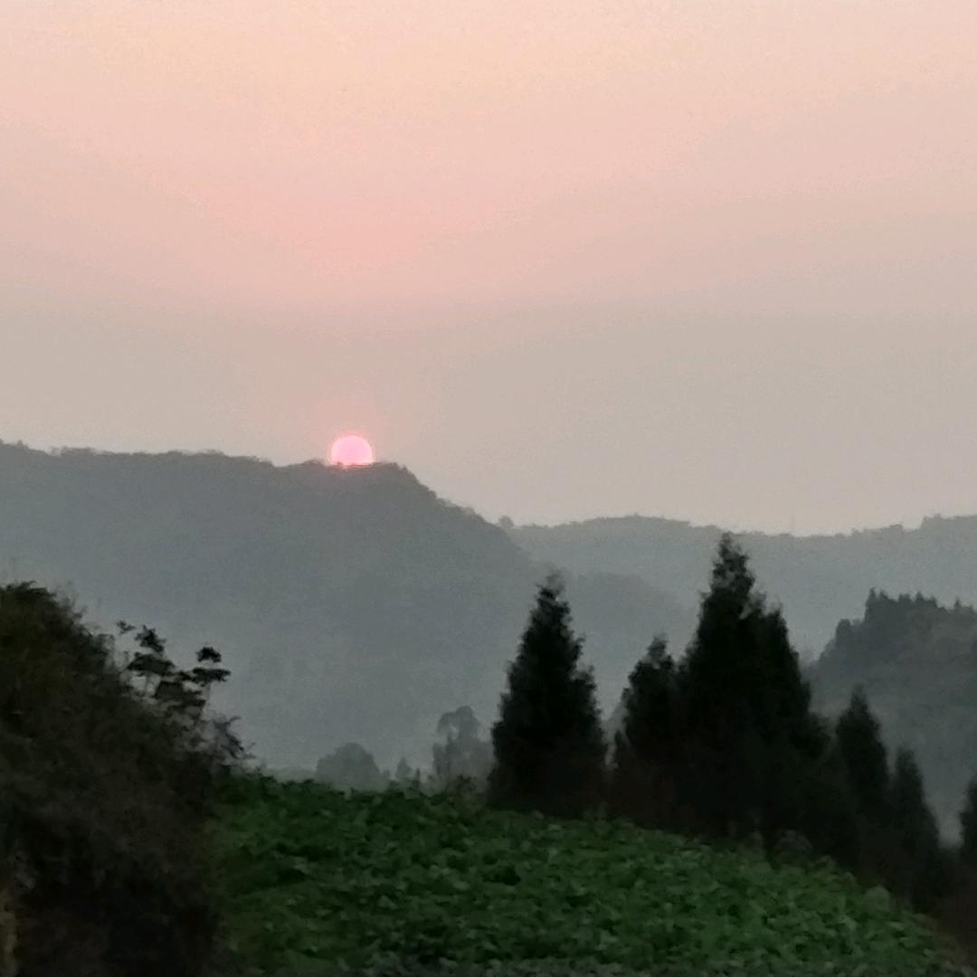 隔壁老王