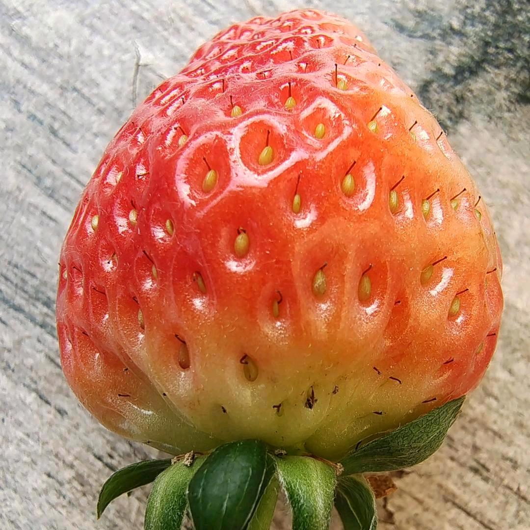 ꕥ᭄为你💞停刘ꦿᩚ࿐²⁰²⁵