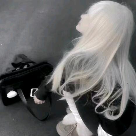 哈夫克的王