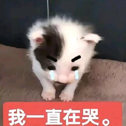 第九天