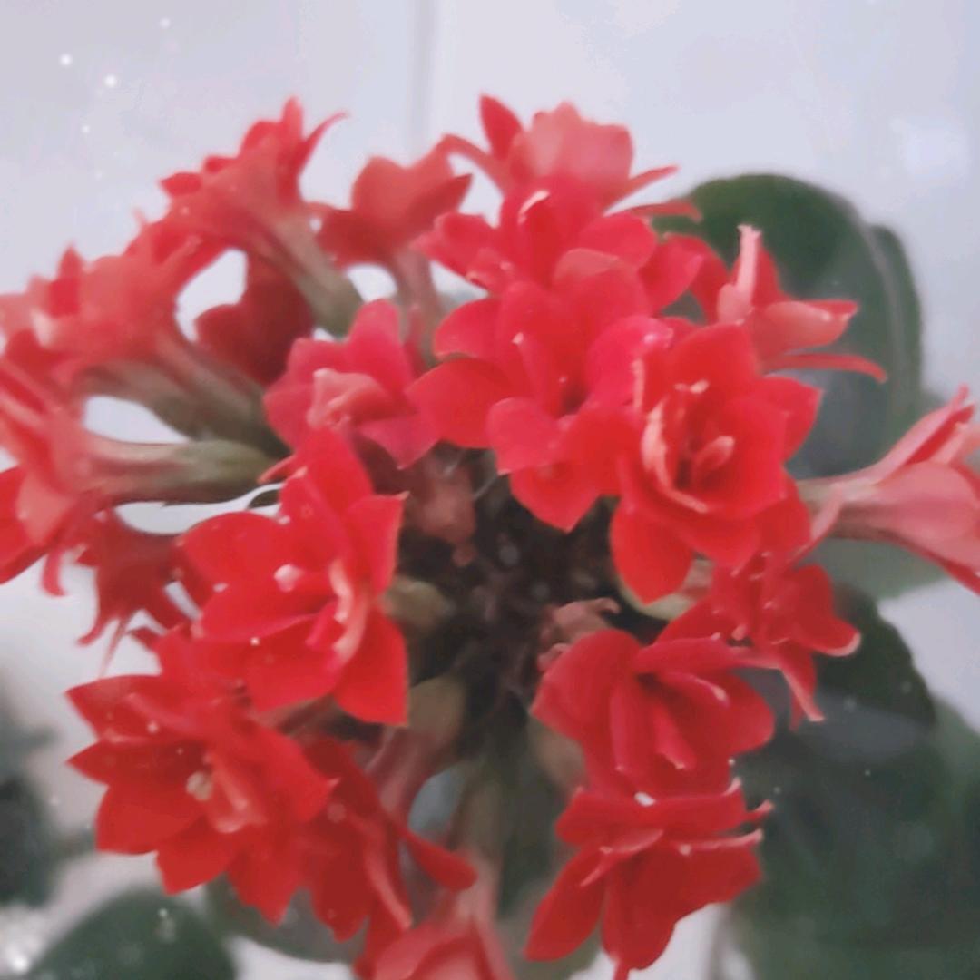 宝宝很乖