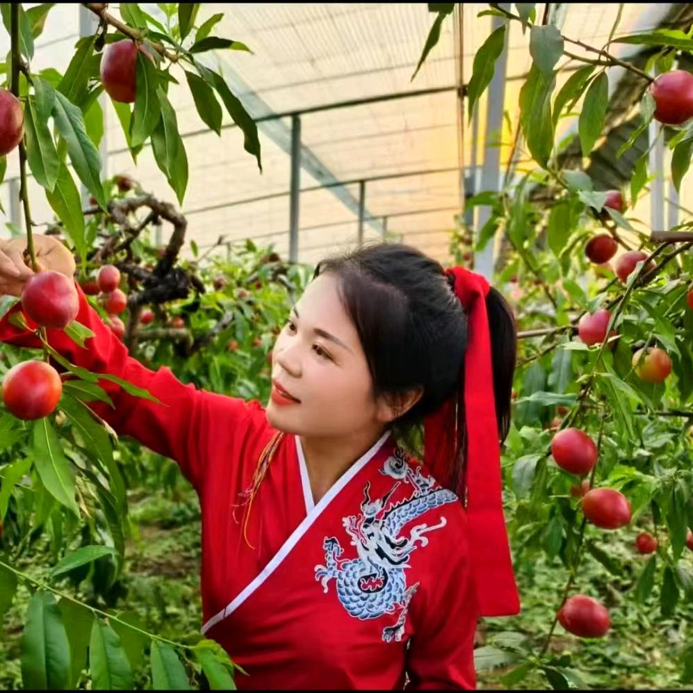 佳仪《桃花岛鼓舞团》团长兼主持