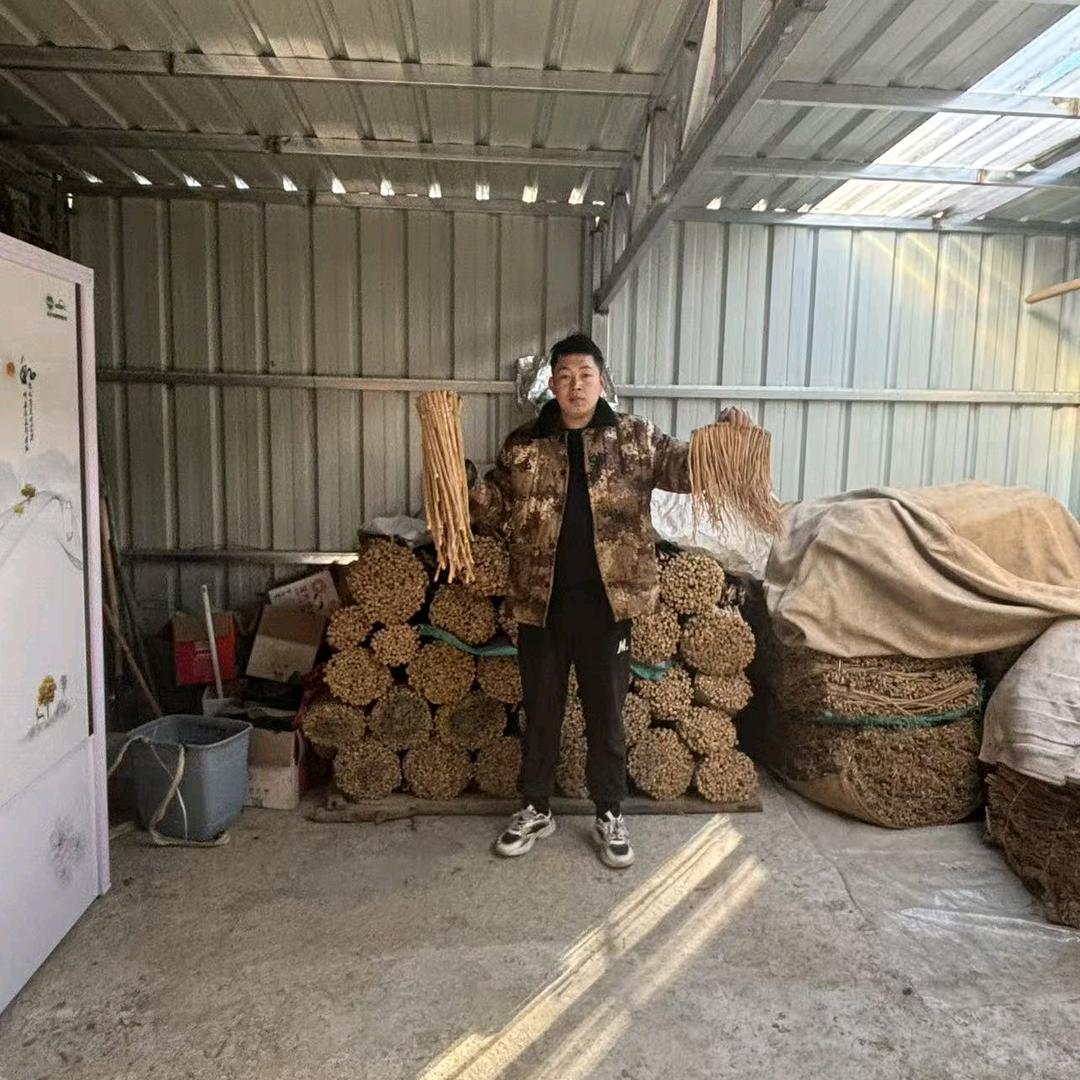 甘肃漳县当归农产品（00后的种植娃）