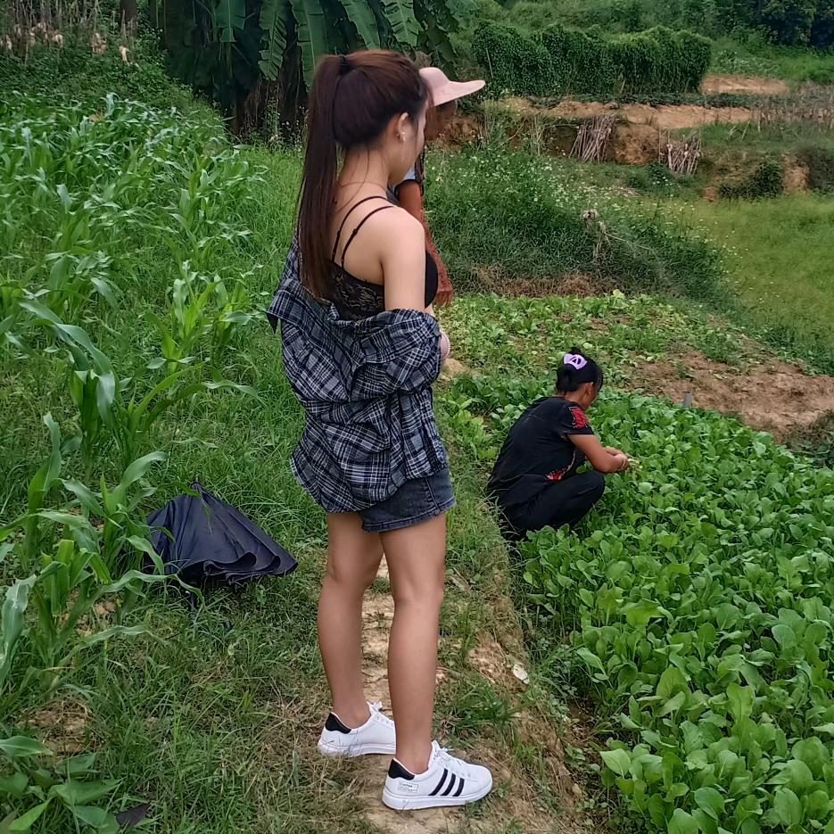 八妹