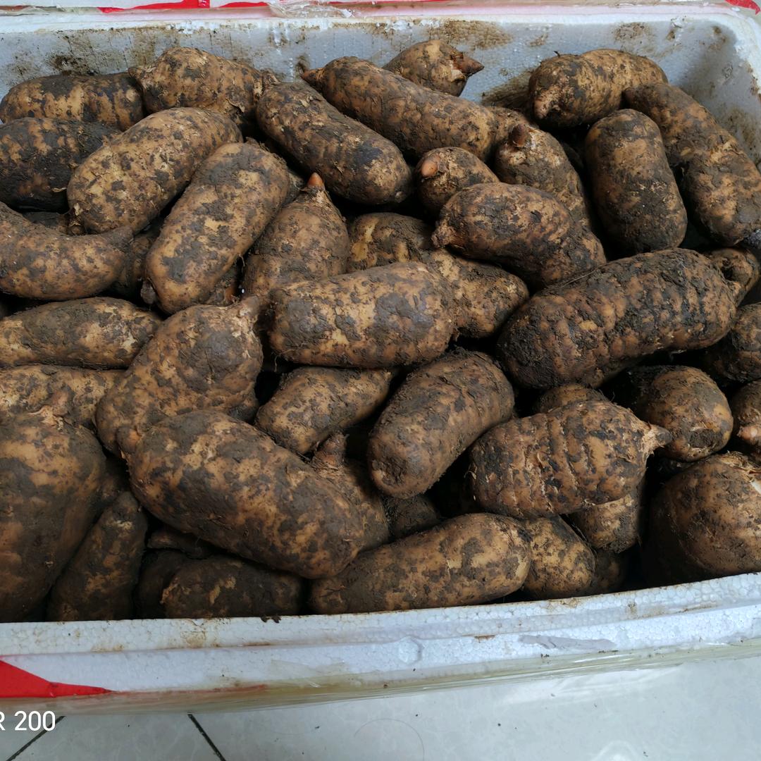 2173599132从此封心不再动心