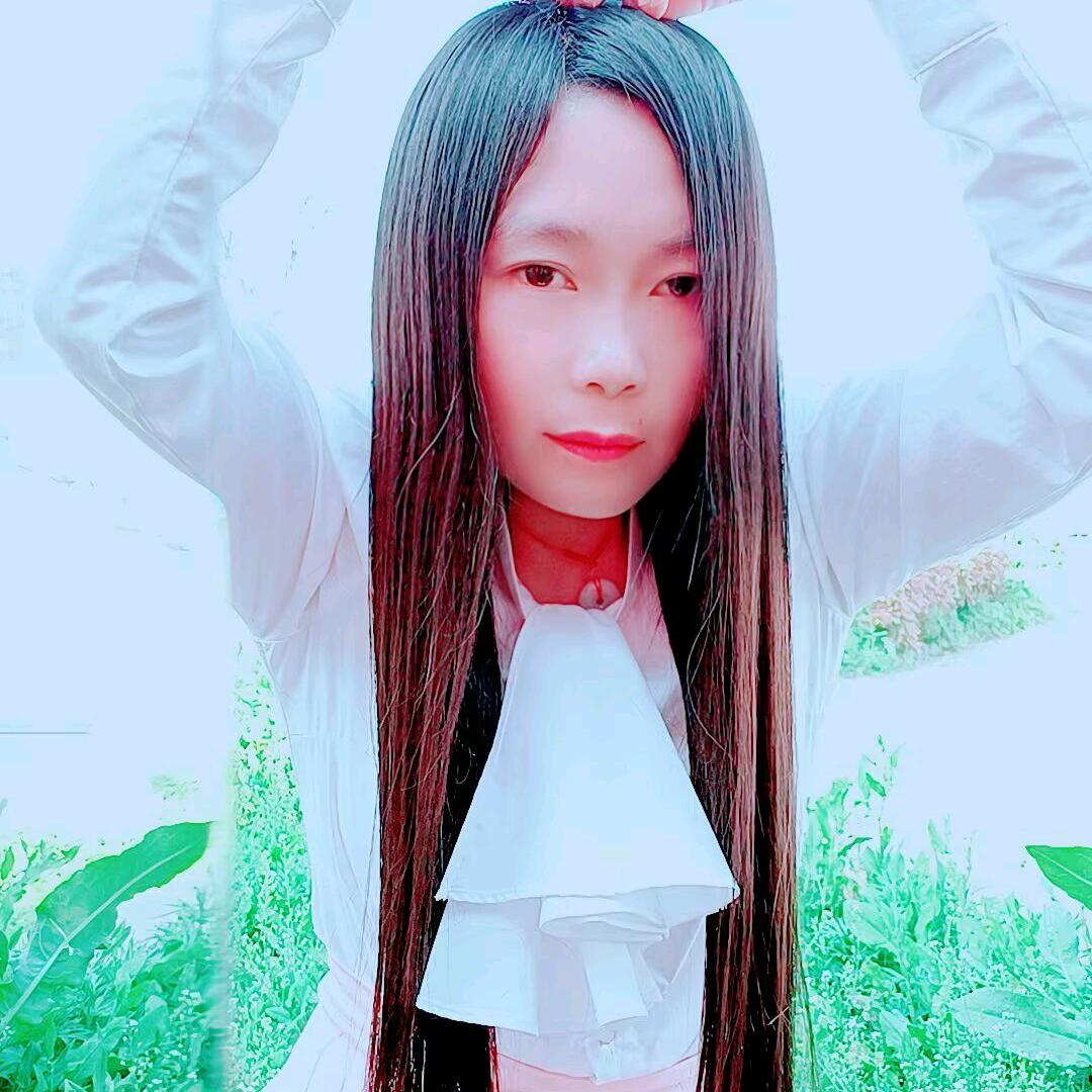人怕无情心怕伤雪怕太阳草怕霜