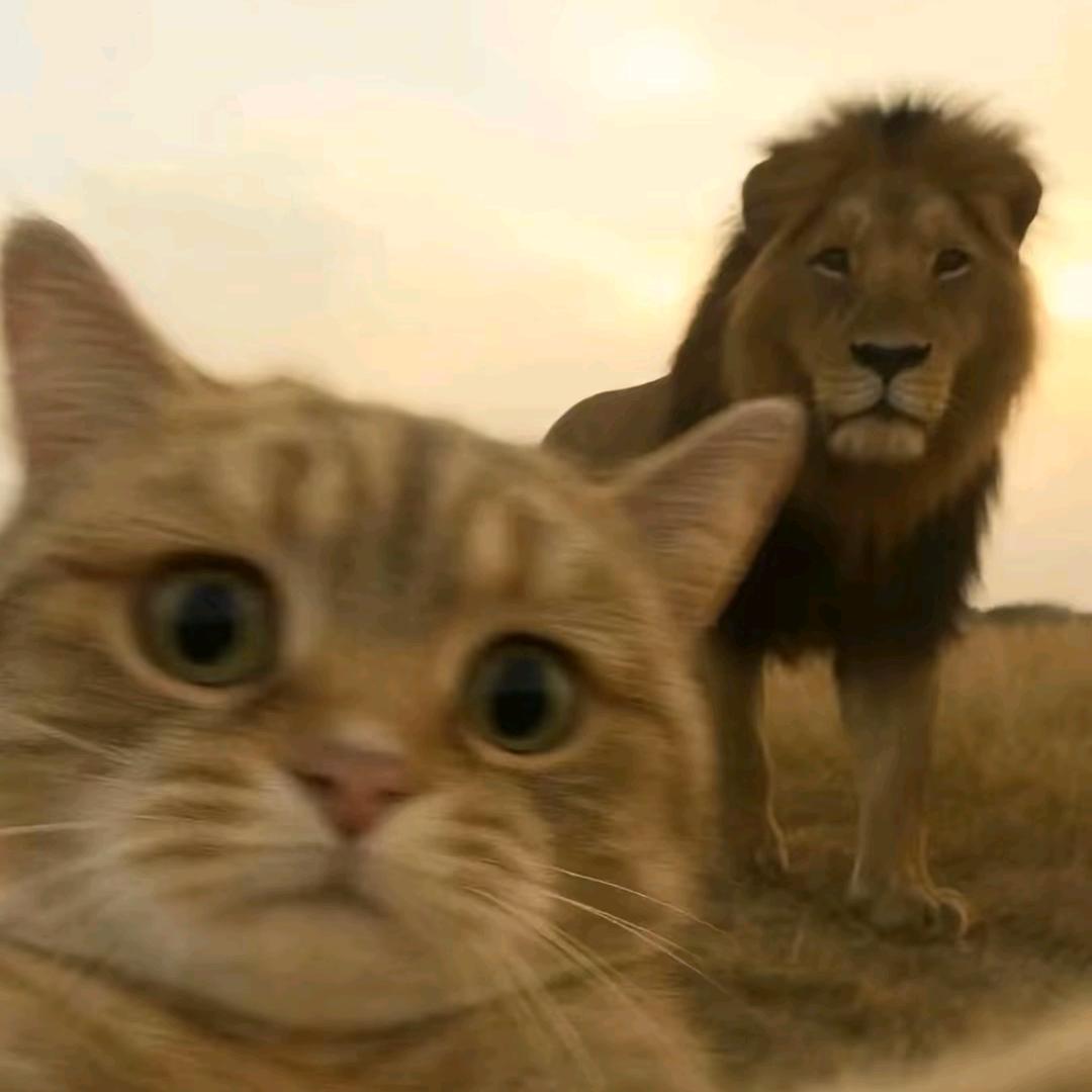 🦔🦔🦔🦷（12.25瘦10斤版）