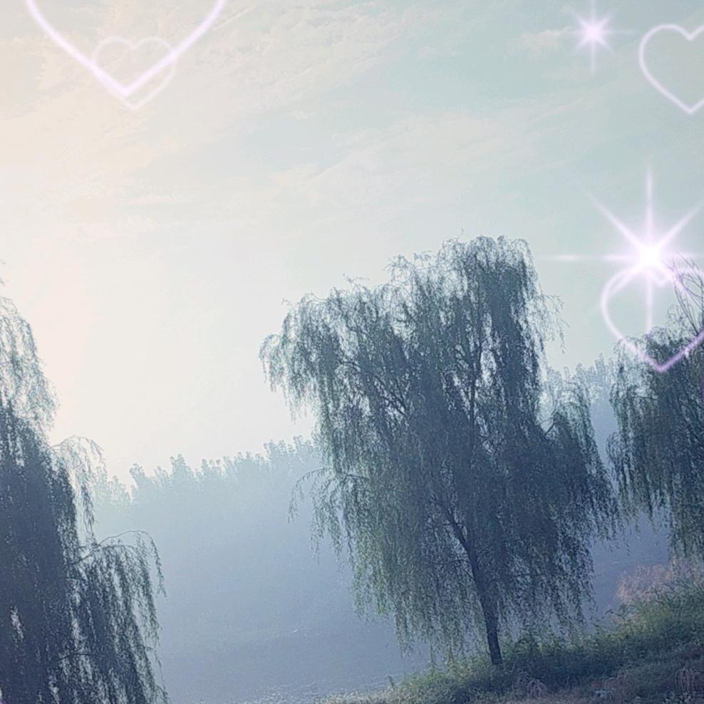 ℳ̶̶̶̶♡̶҉随缘ℳᥫᩣ