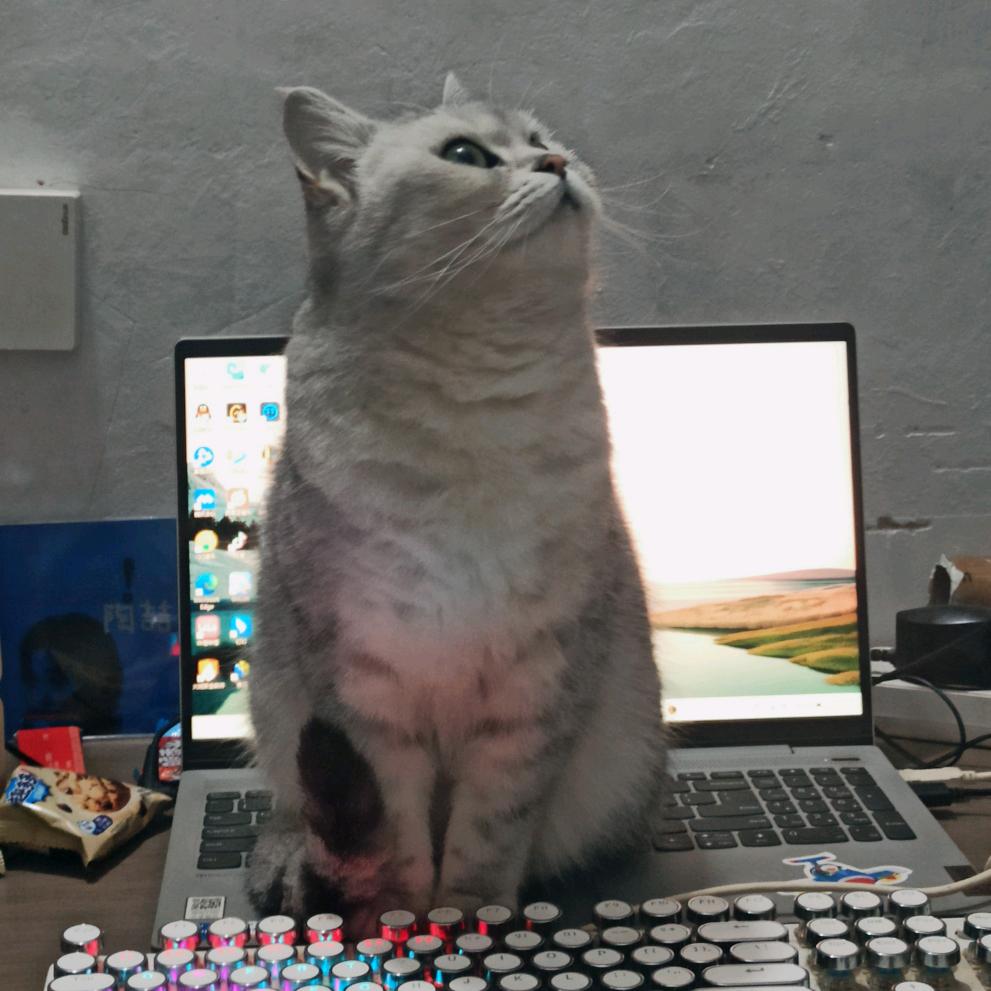 是柚子的柚🍊～