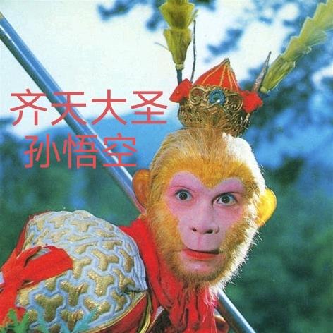 是我小刘