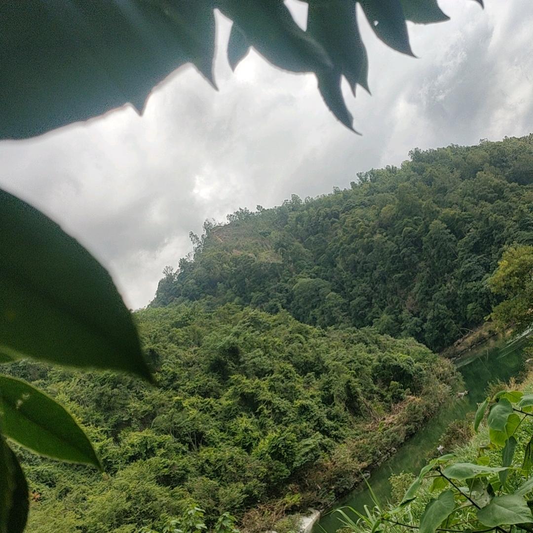 @᭄依然ꦿᩚ࿐: 承诺再真，终会败给时间