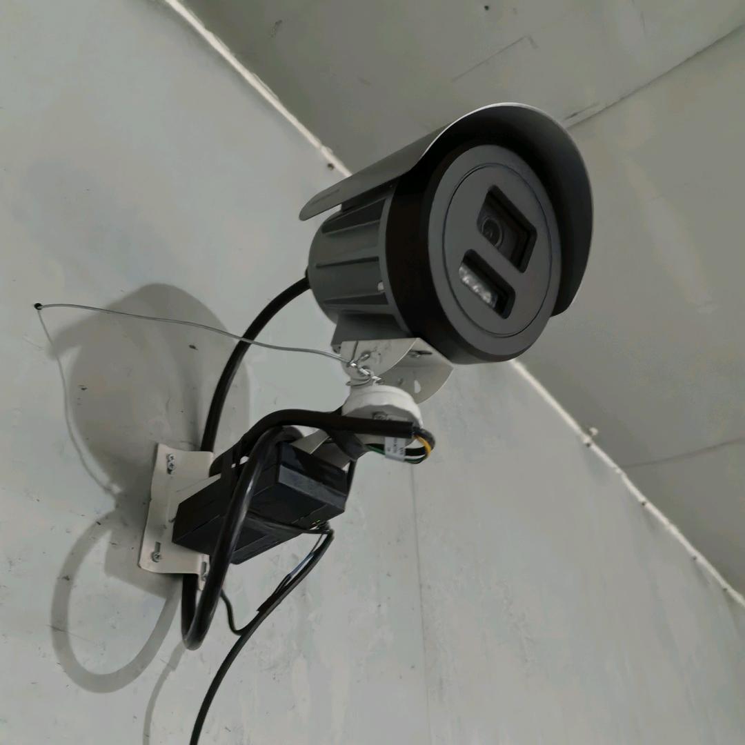 今生所求