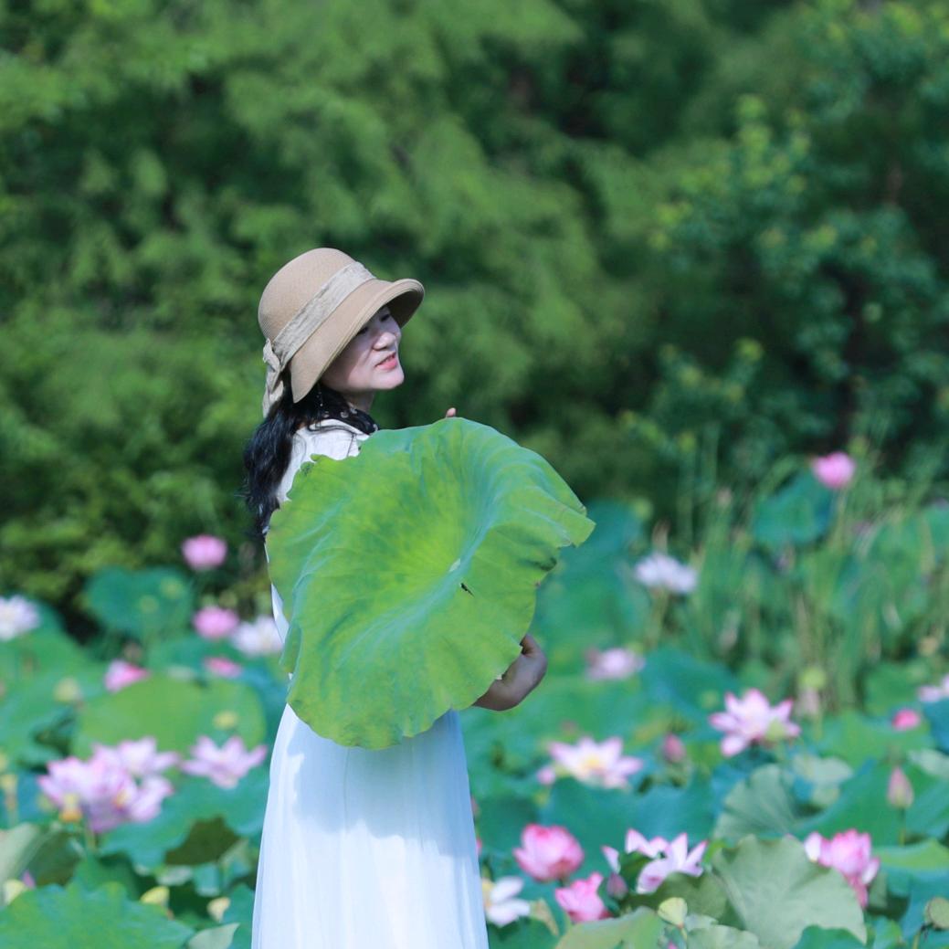 芬紫