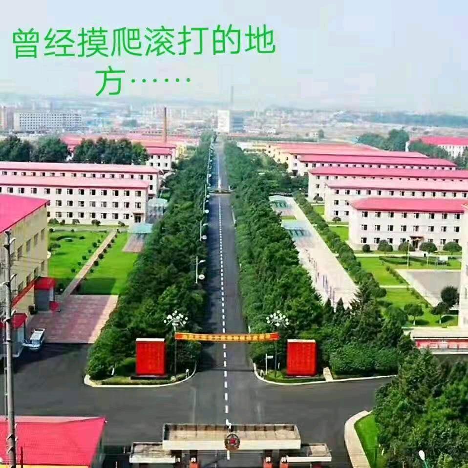 16🇨🇳81109