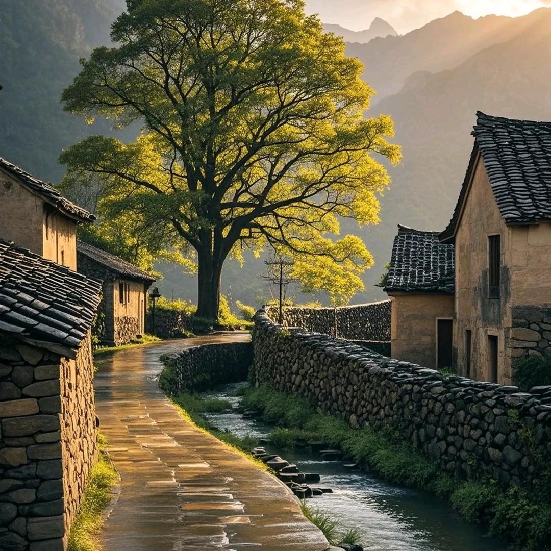 锦帛优选(橱窗有山货)