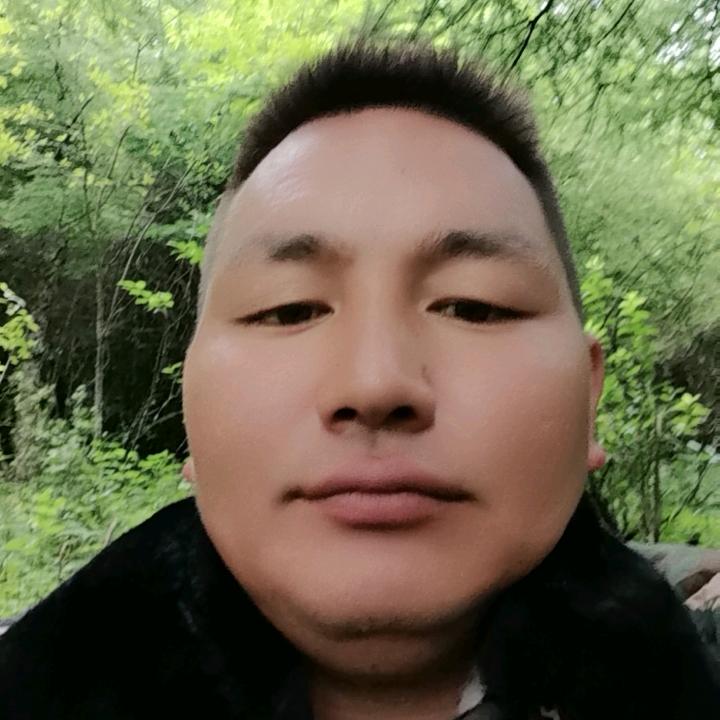 杨以布