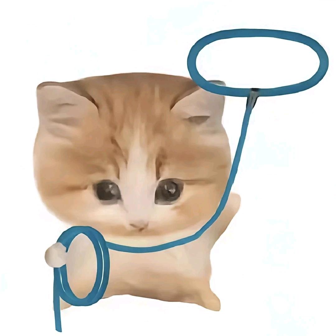 青岛租房林淼淼🙉