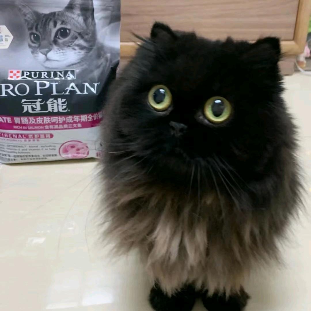 ── 展开 2589条回复 ⌵