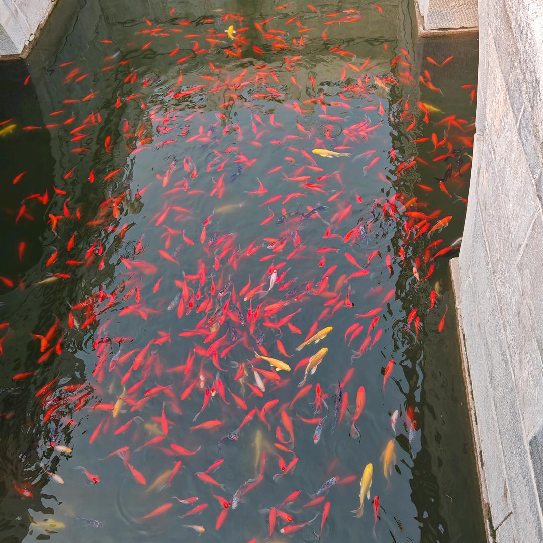 轻质混凝土厂家店A