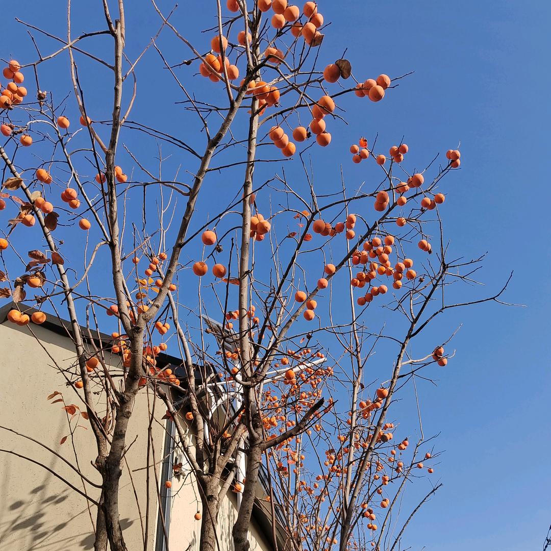 夜空《拒绝私聊》