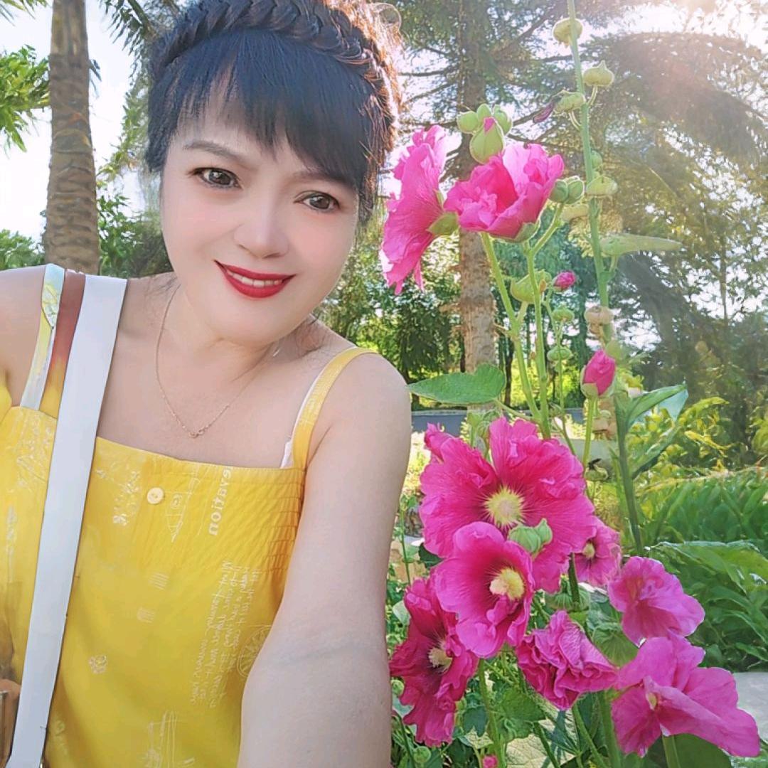 菊菊