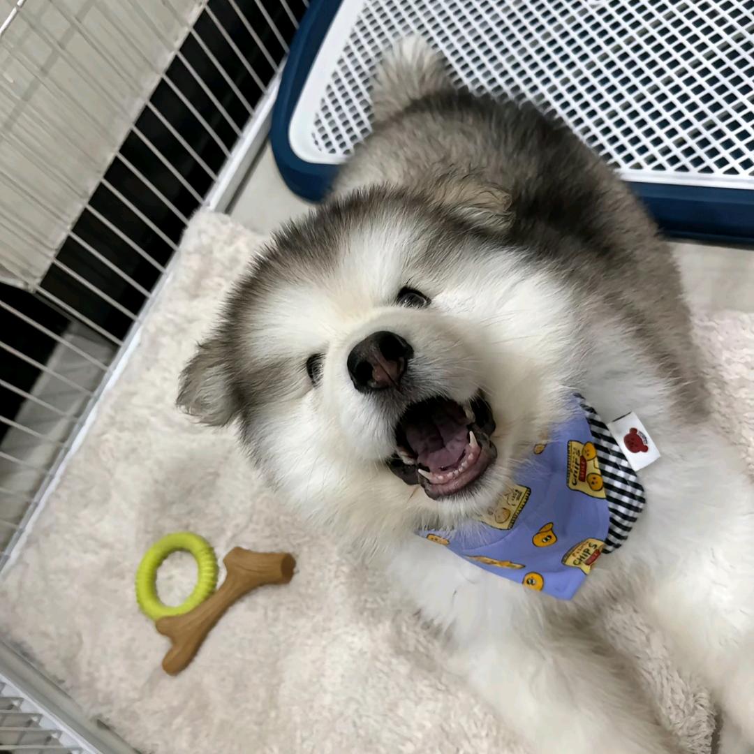 自信女人👩🏻