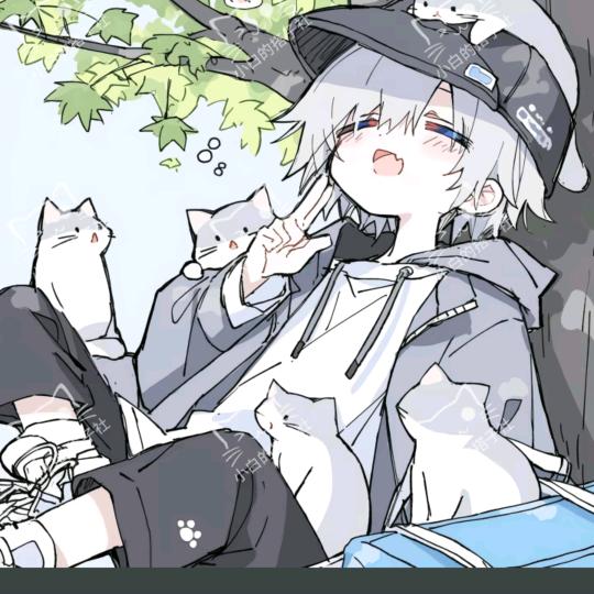 小宝贝🧢