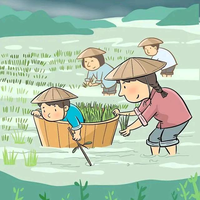 农资经销小许