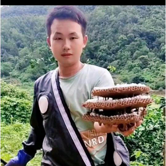 诚信🐲猎犬销售中心🐶#不顾正业养狗人