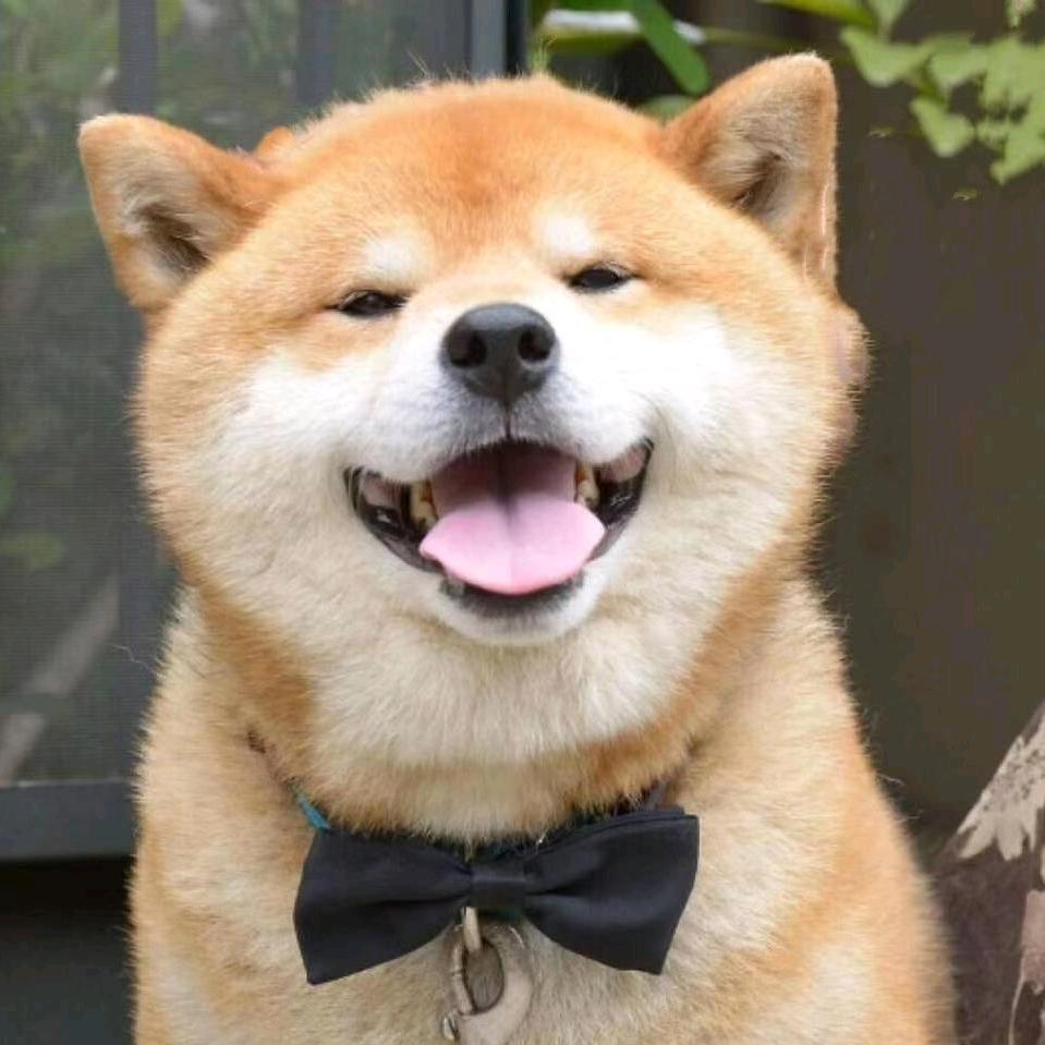 罗罗