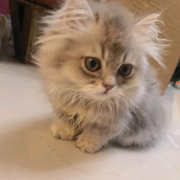 每天少吃二两饭，衣服明年还能穿