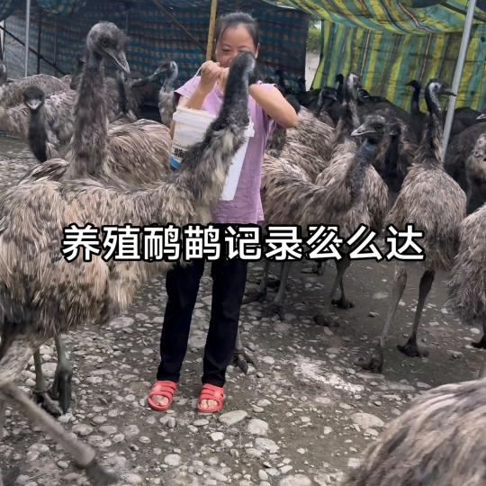 杜天碧